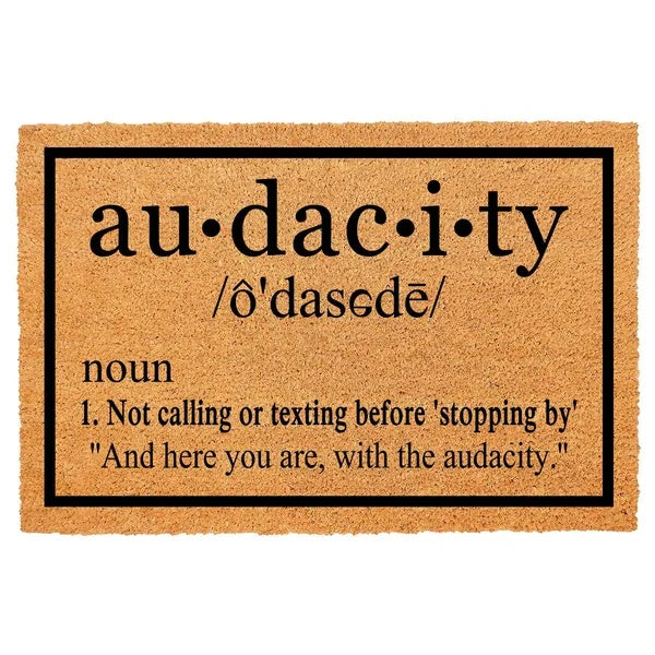 Audacity Doormat For Front Porch Entryway